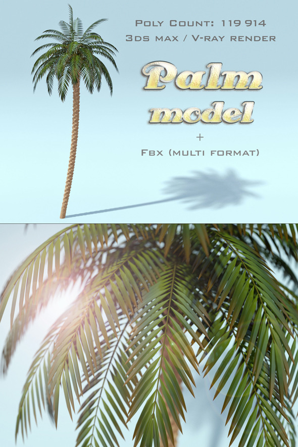 Palm Tree Model - 3Docean 7218907
