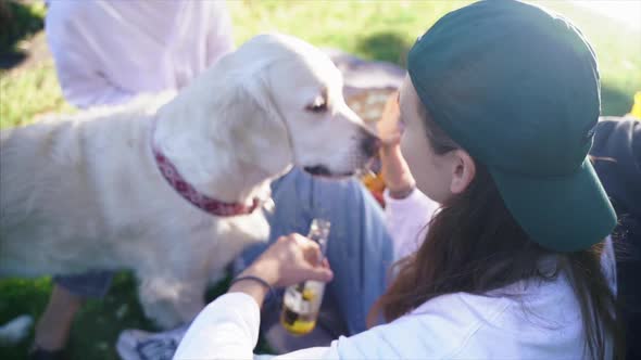 Company of Beautiful Young People and Dog Having an Outdoor Lunch alt