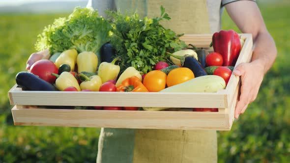 Man Farmer Holding a Box with a Set of Autumn Vegetables alt