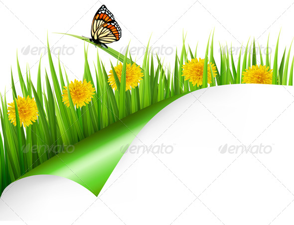 Summer Background with Dandelions and Butterfly - Flowers & Plants Nature