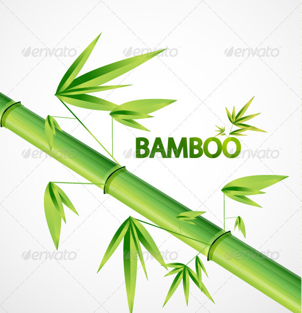 Bamboo stem