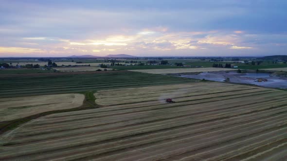 Wheat Fields 