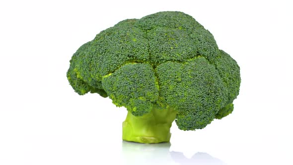 Fresh broccoli turning on white background