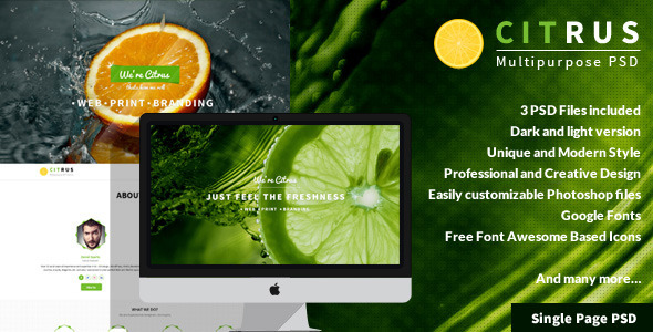 Citrus - OnePage Portfolio PSD Template