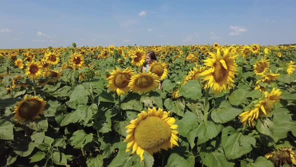 Young Girl Walking in the Sunflowers Field in Summer During Sunny and Windy Day in Belarus alt