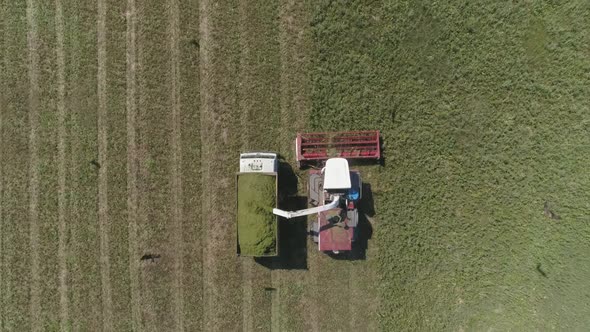 Top down aerial view of Combine harvesting and truck on wheat field. 18 alt