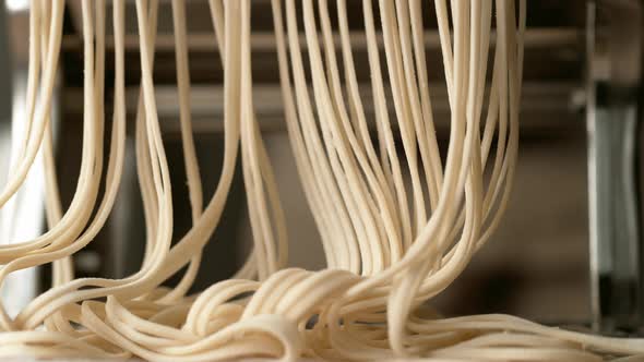 Fresh pasta coming out of pasta machine. Slow Motion. alt