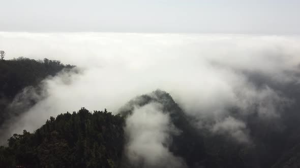 Aerial drone view flying over a forest with clouds