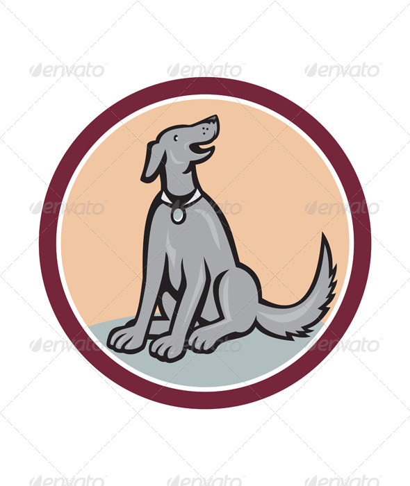 Dog Sitting Looking Up Cartoon - Animals Characters