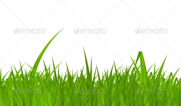 Summer Abstract Background with Grass - Landscapes Nature