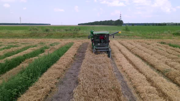 Modern Small Harvester Machine is Operating in the Field on Breeding Station Slow Motion Aerial Shot alt