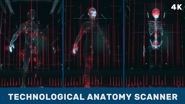 Technological Anatomy Scanner. Part 1