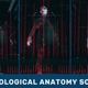 Technological Anatomy Scanner. Part 1 - VideoHive Item for Sale