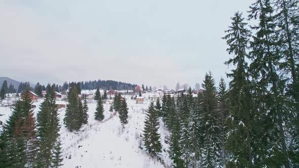 Countryside and Mountains in Winter