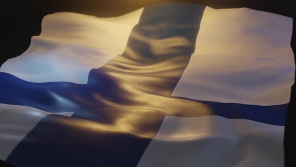 Finland Flag Low Angle View