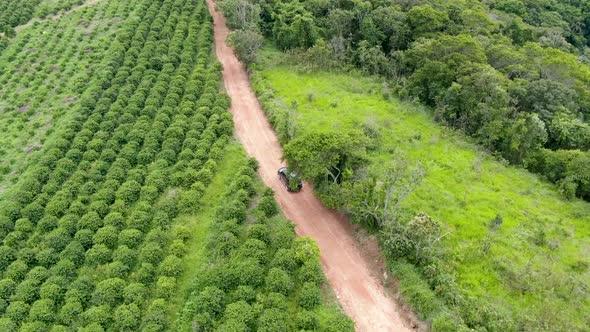 Aerial View of Car Driving Throuh a Small Dirt Road in the Middle of Green Tropical Valley. alt
