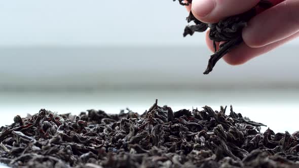 A Lot Of Dry Black Tea Leaves Interfere With Hand, Close Up View