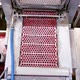 Modern conveyor on berry factory. Close up view of berries factory production equipment - VideoHive Item for Sale