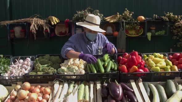 Cucumbers at the Farmers' Market. alt
