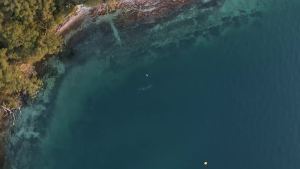 Unique artistic view turning and falling from above towards a group of scuba divers underwater alt