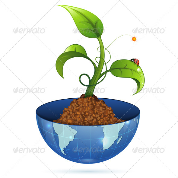 Green Sprout - Concepts Business