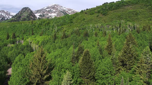 Aerial panning view of forest and mountain top alt