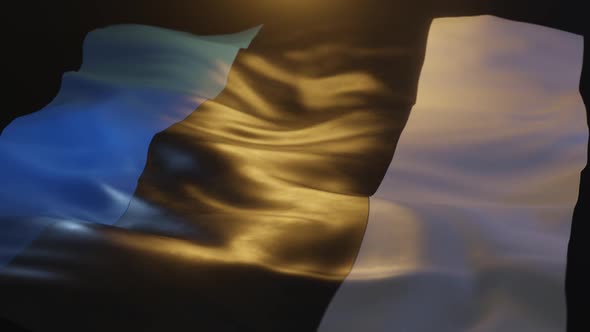 Estonia Flag Low Angle View