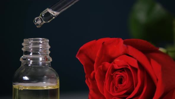 Dripping Oil From Pipette Into Glass Bottle on Rose in the Background