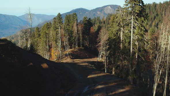 Mountain Road Among the Deep Forest in Fall Season