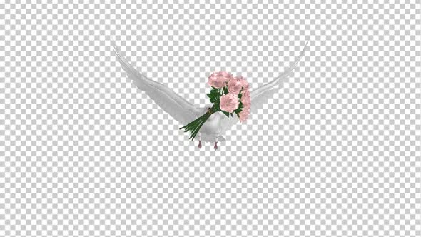 White Dove with Pink Rose Bouquet - Flying Loop - Front View