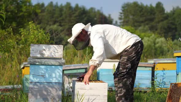 Beekeeper is working with bees and beehives on the apiary. Beekeeper on apiary. alt