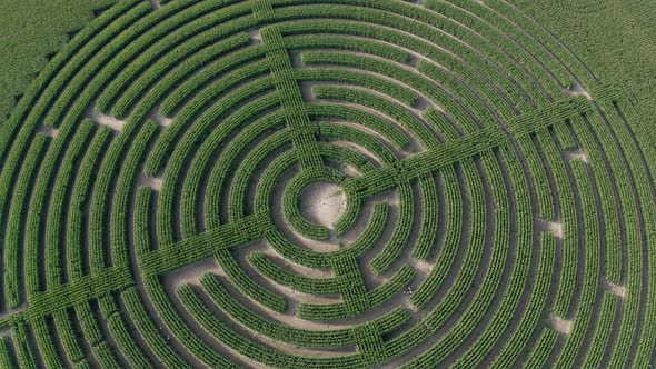 Circle In A Corn Field Labyrinth