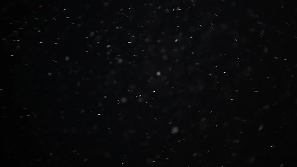 footage of dust dark background alt