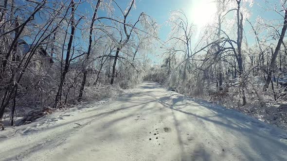 Point of View From Drives Side Vehicle Driving on a Road After a Freezing Rain alt
