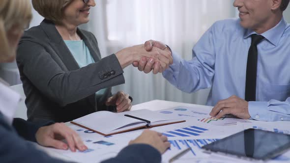 New business partners meeting in the office, colleagues cooperation, agreement alt