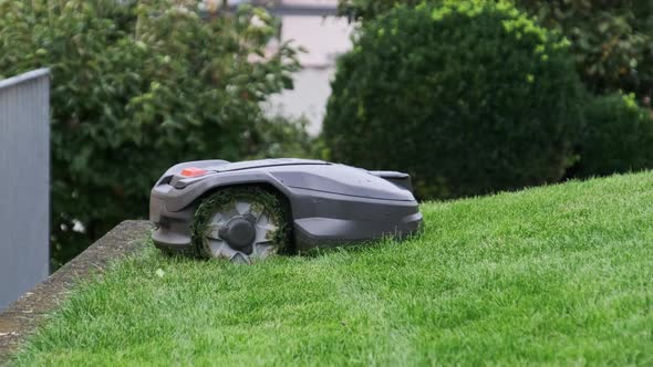 Robotic Lawn Mower Moving Across Lawn Robot Cuts Green Grass in the Backyard alt