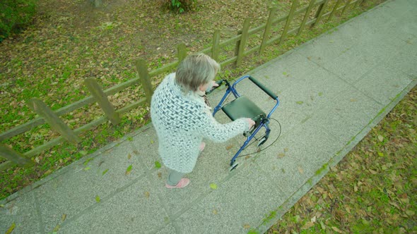 Hunched Grandmother Strolls Near Fence Using Walking Frame alt