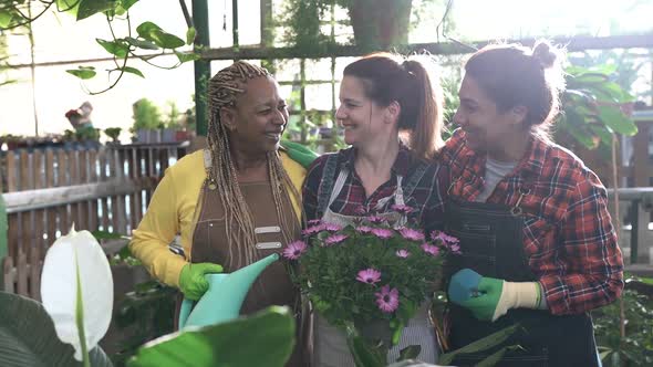 Multiracial mature women having fun working together inside garden center greenhouse