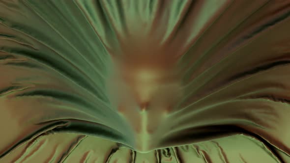 Skull Reveal Under A Velvet alt