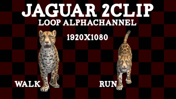 Jaguar Front 2 Clip Loop Alpha