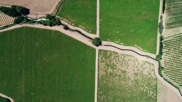 60 fps drone footage of a nice chilean valey landscape full of vineyard alt