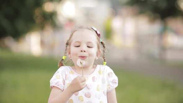 Charming Little Girl Blowing Dandelion While Walking