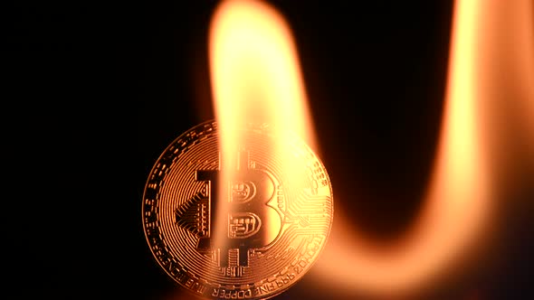 Fire flames over bitcoin physical coins on black alt
