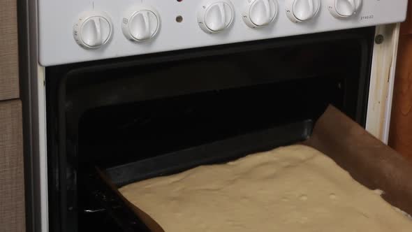 A Woman Puts The Dough On A Baking Sheet Into The Oven. Cooking Biscuit Cake Dairy Girl. alt