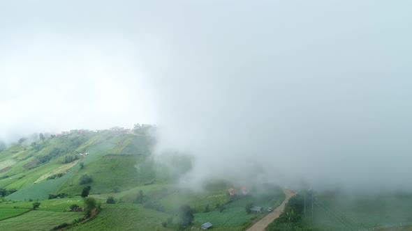 Scenic Drone Footage Of Cabbage Plantation With Foggy Weather In Background alt