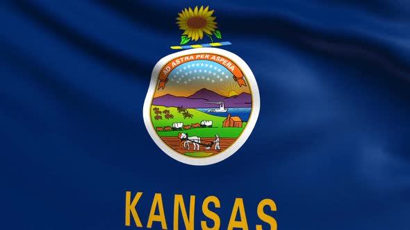 Kansas Flag alt