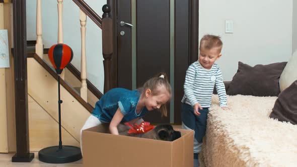 Surprised children near box with puppy