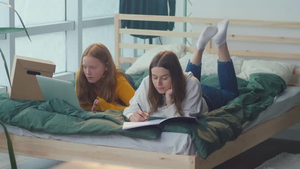 Cute College Girls Study Together Browse Educational Studies on the Internet alt