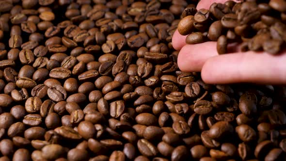 Hand mixing roasted coffee beans. Slow motion of arabica coffee seeds. alt