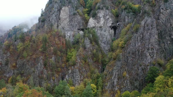 Foggy Mountain Forest